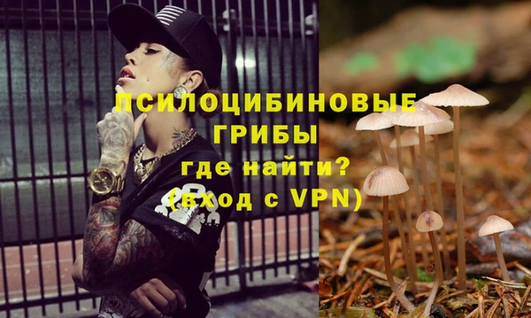 стафф Балахна
