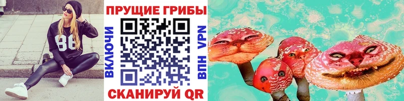 Галлюциногенные грибы Psilocybine cubensis  kraken   Печоры  наркошоп 